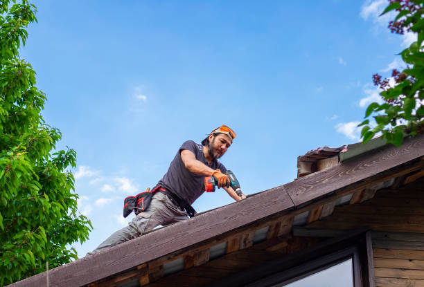 Best Roof Ventilation Installation  in Gerdine, AL