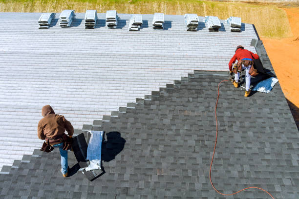 Best Roof Moss and Algae Removal  in Gerdine, AL